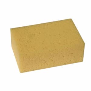 Professional Sponge