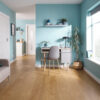 Pvp145 Scb Torcello Openplanapartment Ls1 Cm