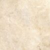 AST10 6060
